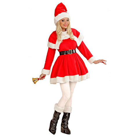 Santa Claus costume, professional Santa Claus costume, Santa Claus disguise